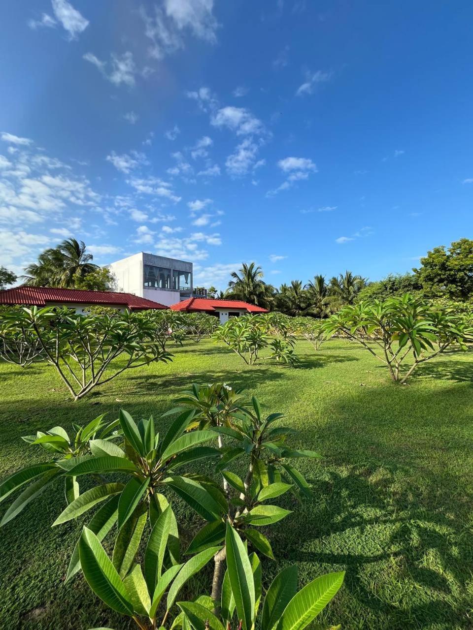 Nn Beach Resort & Spa 尼拉瓦利 外观 照片