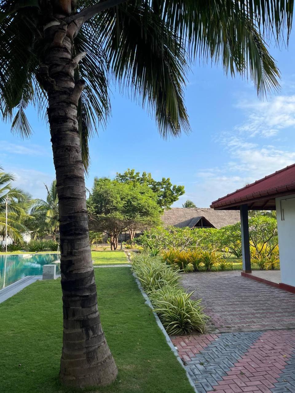 Nn Beach Resort & Spa 尼拉瓦利 外观 照片